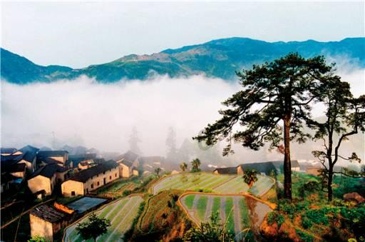 想去医院停尸房太平间殡仪馆值夜班